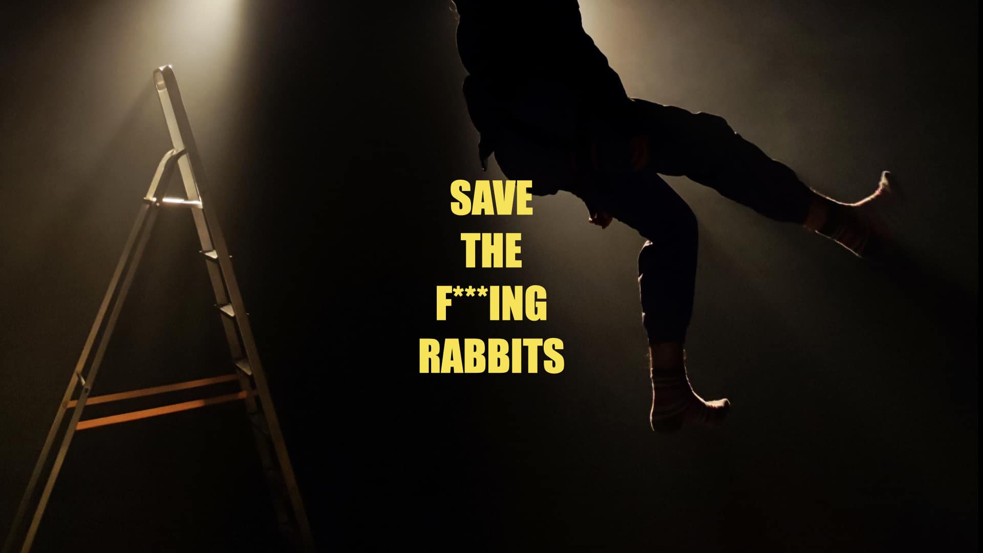 save-the-fing-rabbits